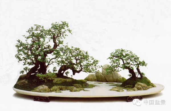 心仪美景入画屏赵庆泉盆景作品赏析