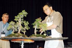 赵庆泉这样评价自己的盆景之路