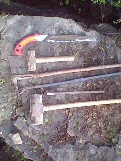 图解 雀梅下山桩树桩怎么采挖的方法