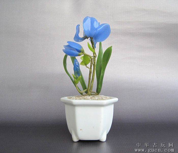 湖北召开大会奖励参加国展的盆景兰花作品获