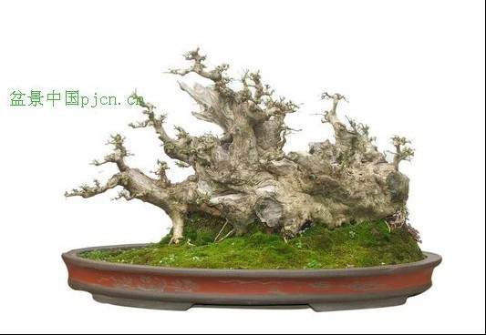 河南郑州哪里有批发景观石风景石山水盆景的？