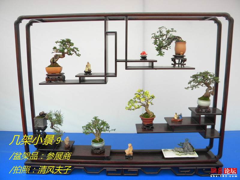 -----[原创图片]几架小景----- - 清风夫子2008 - 清风夫子qffz2008的博客