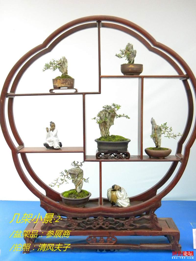 -----[原创图片]几架小景----- - 清风夫子2008 - 清风夫子qffz2008的博客