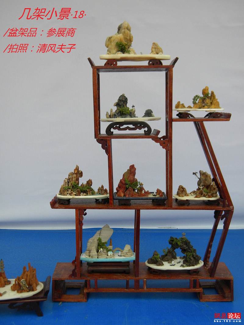 -----[原创图片]几架小景----- - 清风夫子2008 - 清风夫子qffz2008的博客