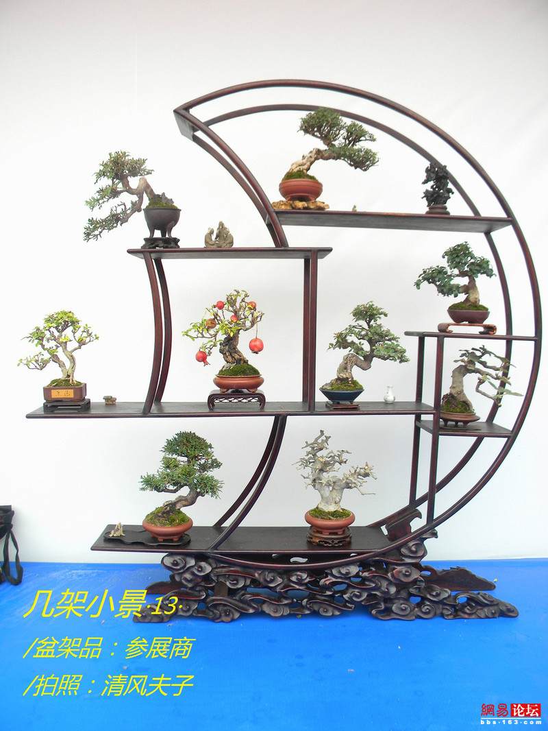 -----[原创图片]几架小景----- - 清风夫子2008 - 清风夫子qffz2008的博客