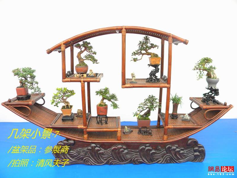 -----[原创图片]几架小景----- - 清风夫子2008 - 清风夫子qffz2008的博客