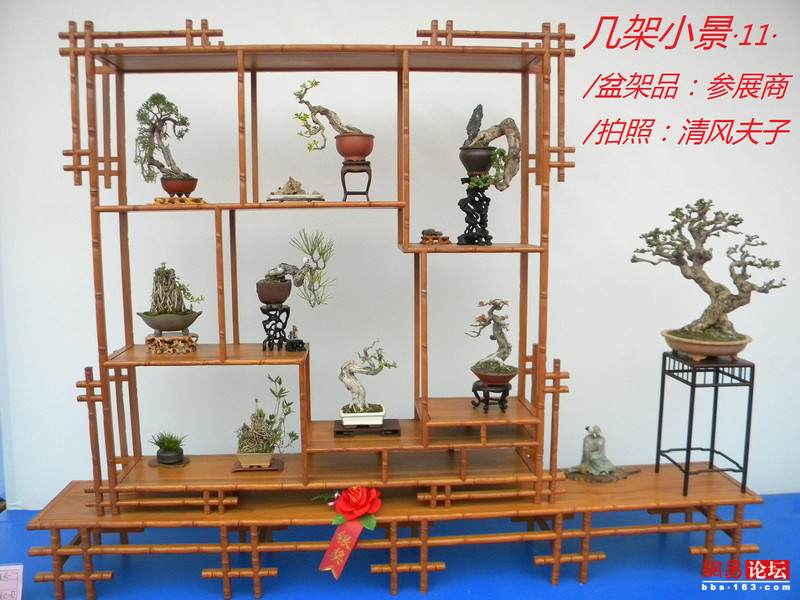 -----[原创图片]几架小景----- - 清风夫子2008 - 清风夫子qffz2008的博客