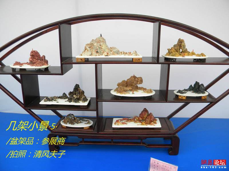 -----[原创图片]几架小景----- - 清风夫子2008 - 清风夫子qffz2008的博客