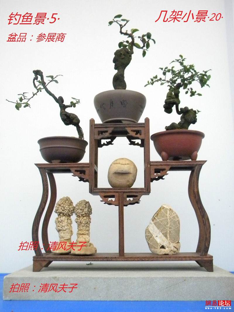 -----[原创图片]几架小景----- - 清风夫子2008 - 清风夫子qffz2008的博客