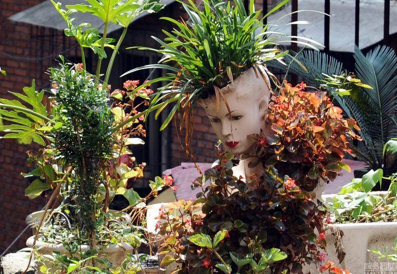 阳台惊现“人模盆景”