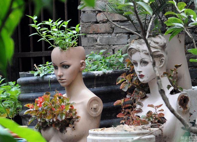 阳台惊现“人模盆景”