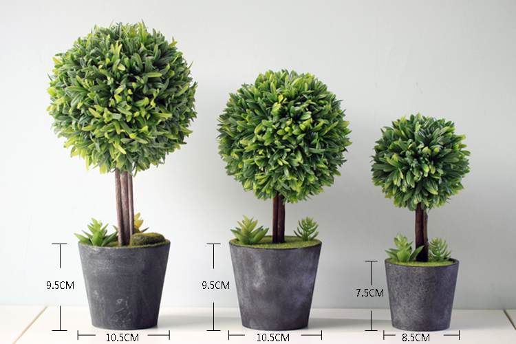 看到喜欢的盆景 竟搬回自家阳台