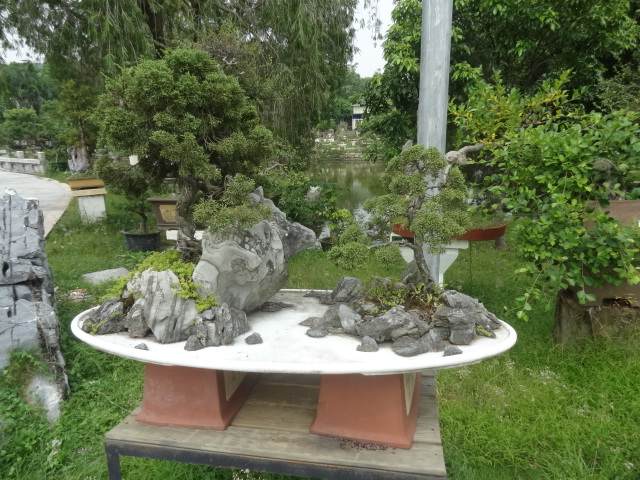 深圳市第七届公园文化节渐入佳境