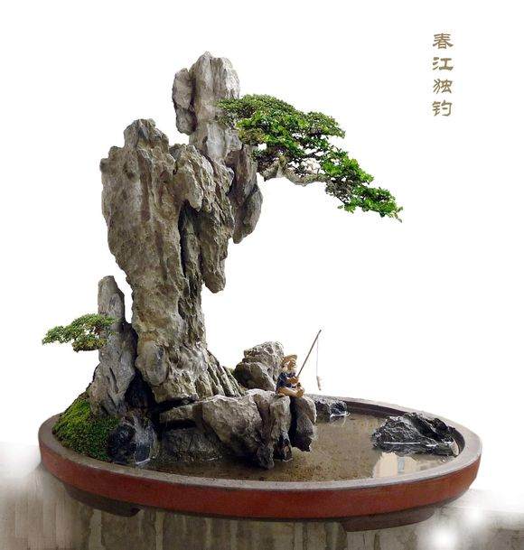 盆景园党支部组织全体党员收看河南省庆祝大会实况