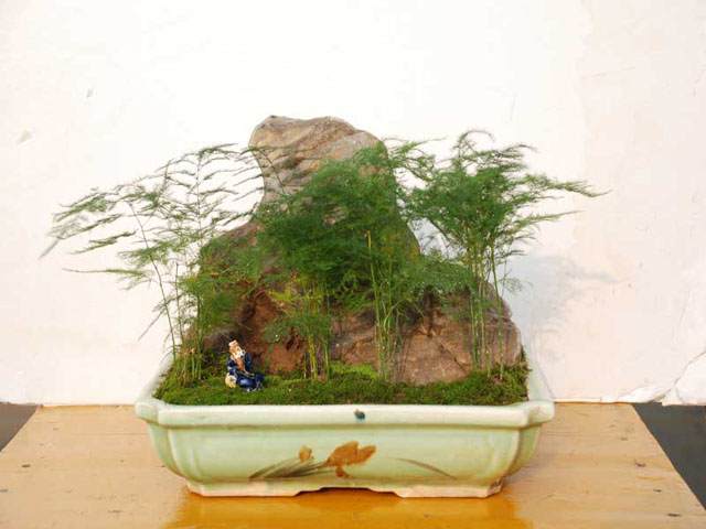 驻马店中原盆景风光