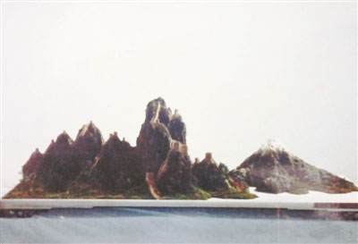 孟河斧劈石盆景制作工艺入选省非物质文化遗产名录