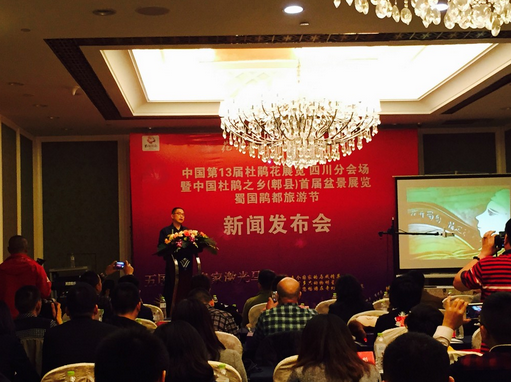 2.png 中国第十三届杜鹃花盆景展