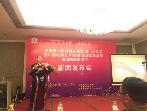 5.png 中国第十三届杜鹃花盆景展