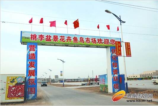 滨州市桃李盆景花卉鱼鸟市场