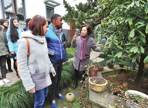 苏州大学的留学生来紫兰小筑了解盆景