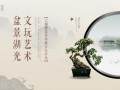 文玩艺术盆景湖光 大湖微盆景绿植文化沙龙12日启幕