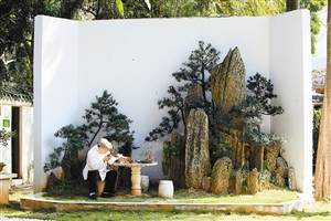 为什么盆景是收藏界的活古董