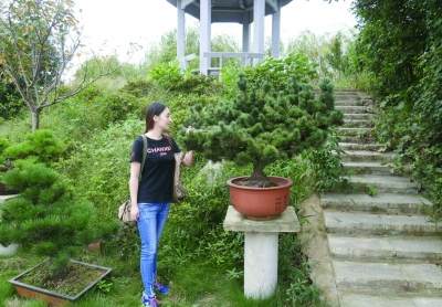 溧阳大学生创办盆景园带动农户致富