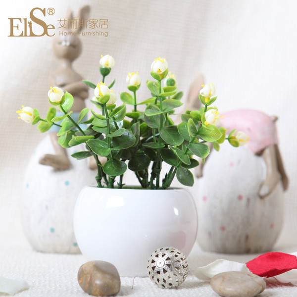 茉莉盆景给您的致富钱路施魔法