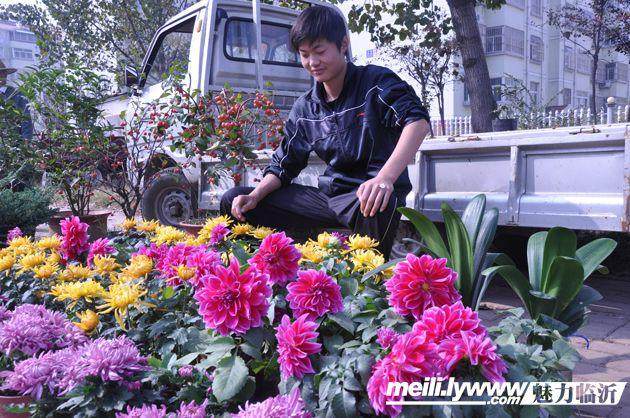 农民经营花果盆景致富