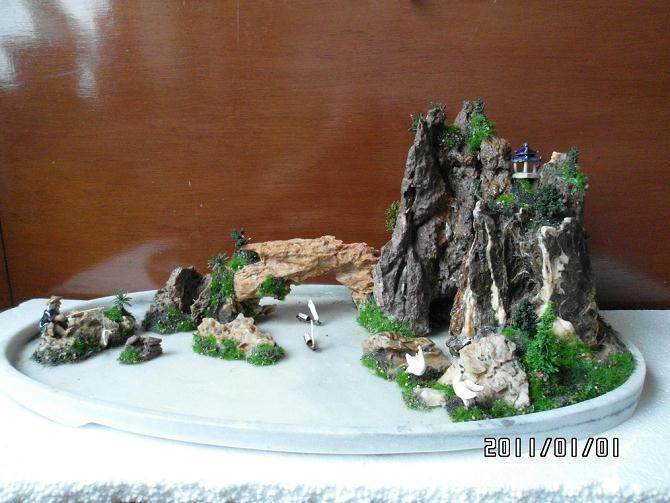 捡来石头做盆景