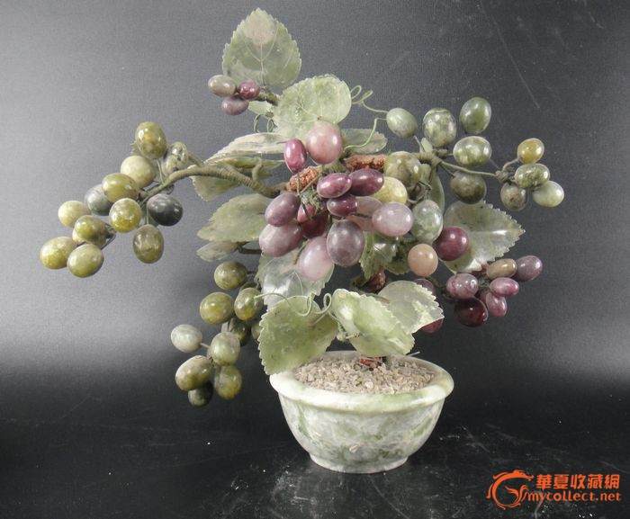 盆景葡萄的发展前景非常好 未来将是产业发展的又一新突破