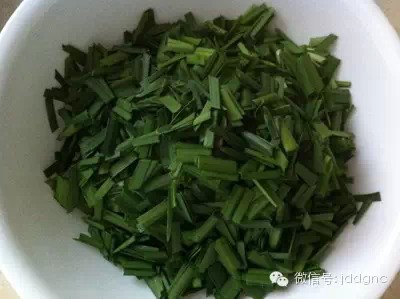 阳台上就能种万能药盆栽韭菜 你家有吗