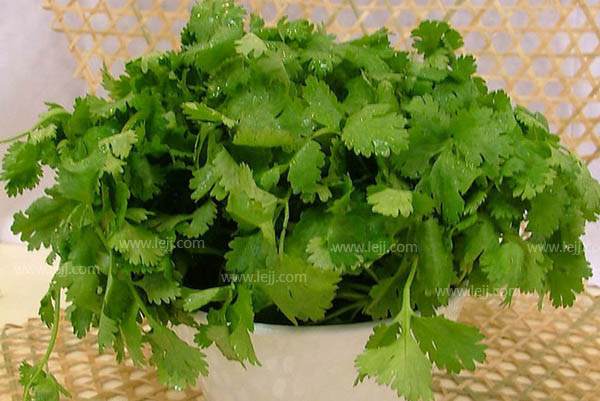 家里阳台盆栽蔬菜怎么种