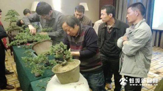 盆景师走进创客特训营 小盆景成就创业大风景