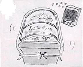 怎么在阳台种植盆栽发芽的方法 图片