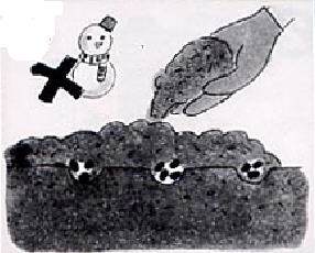 怎么在阳台种植盆栽发芽的方法 图片