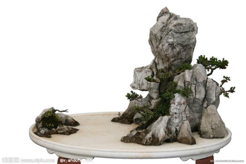 盆景业可以创业吗