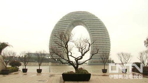 吴晓红做树桩盆景致富的创业故事