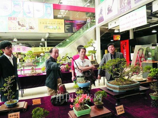 北京林业大学教授开创学院派雕绘盆景