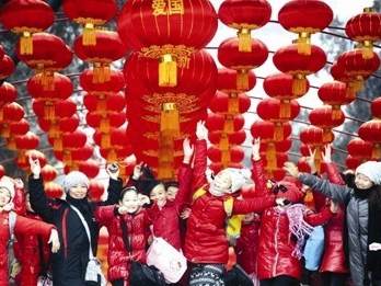 首届盆景艺术展上弘扬北京精神 图片