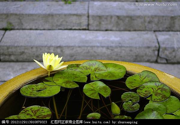 北京北海公园岭南盆景名家精品展举办