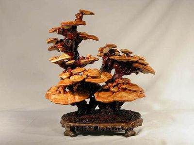 天津出入境检验检疫局截获七批次带土盆景