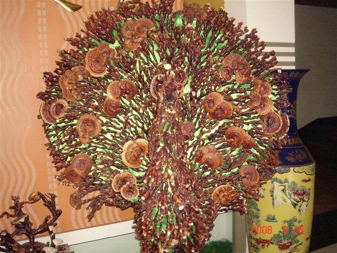 天津滨塘沽环保公益宣传 鲜花盆景成爱心礼物