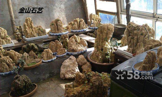 疏林草地+东方盆景 天津园林中西合璧