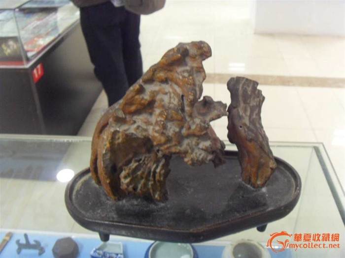 数十万盆鲜花盆景扮靓天津站