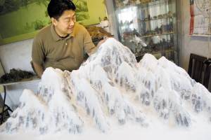 盆景再现 圣火上珠峰(图)