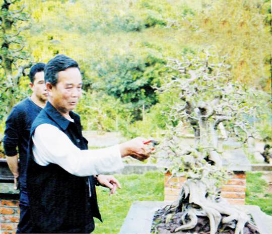 访玉林籍广西盆景艺术大师 徐伟华