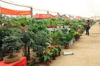 1429770253729016.jpg u=1358138743,3935036706&fm=21&gp=0.jpg