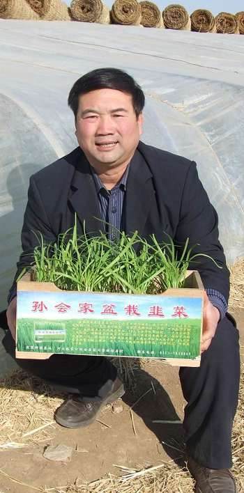 盆栽韭菜把田园带进阳台