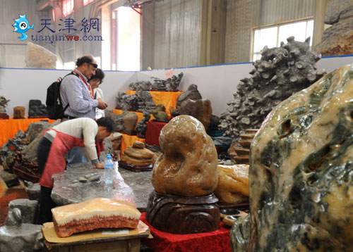 天津盆景旅游博览会 中外游人参观